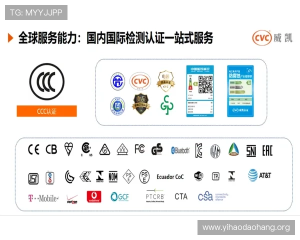 壹号网站官网客户服务与支持体系，提供全天候专业帮助与问题解决方案